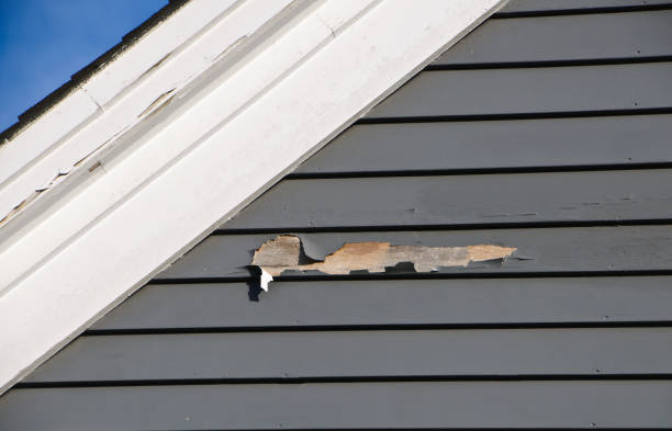 Professional Junk Removal in Fowlkes, TN